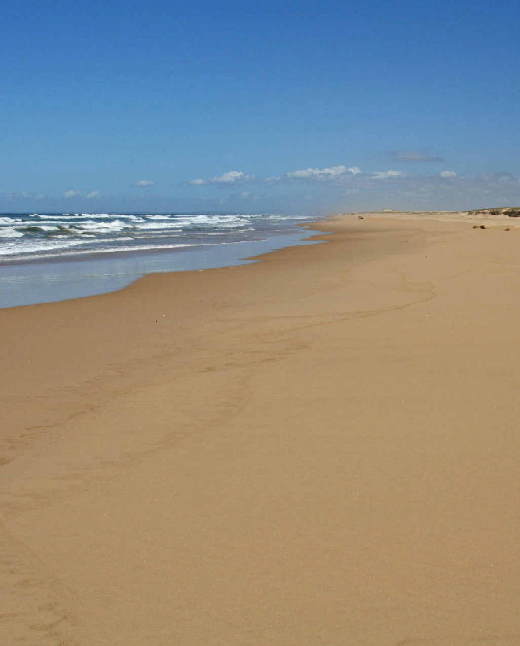 Stockton beach: the largest Stockton beach: the largest